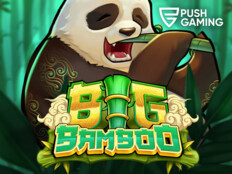 Big win casino slots31